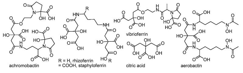 Fig. 5