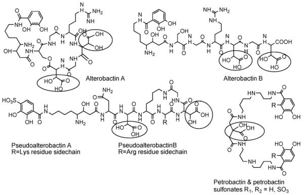 Fig. 8