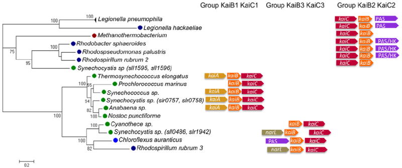 Fig. 10