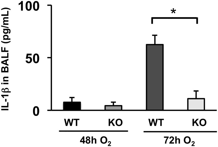 Fig 5