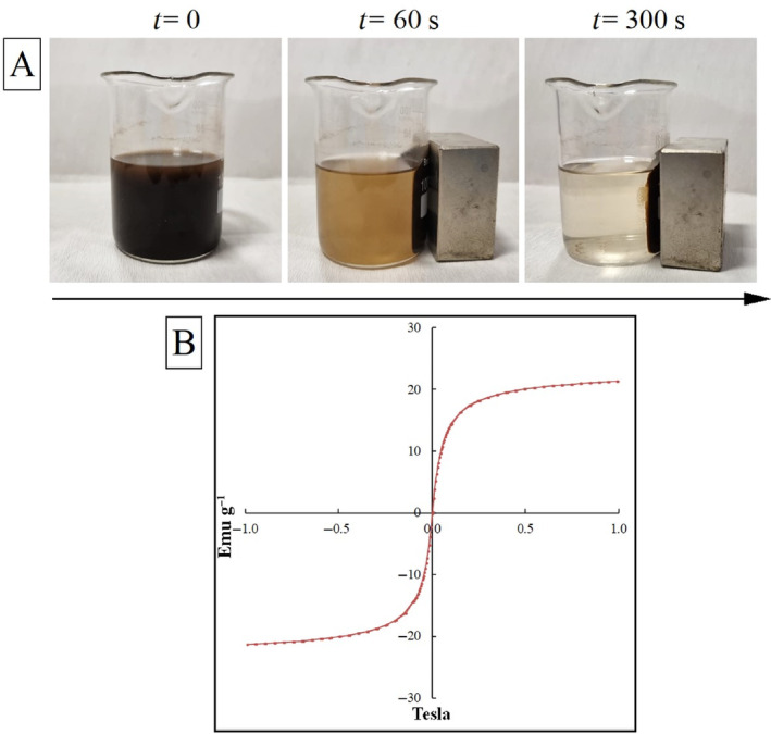 FIGURE 3