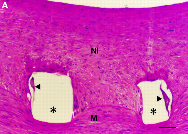 Figure 5  