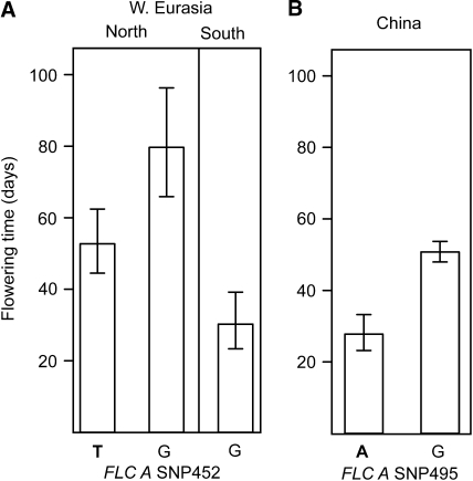 Figure 3.—