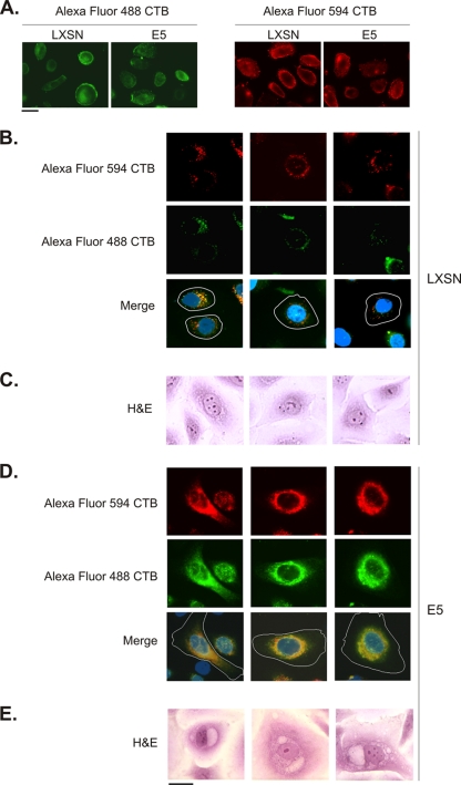 Fig. 4.