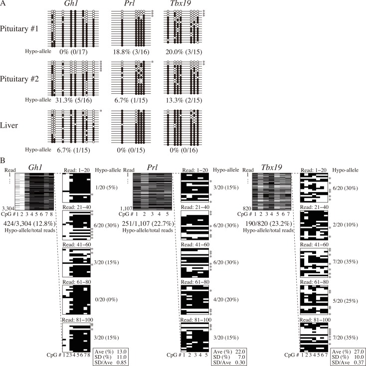 Fig 5