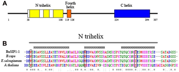 FIGURE 1