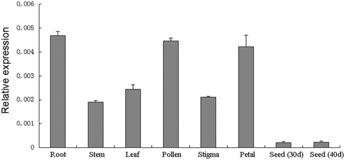 FIGURE 3