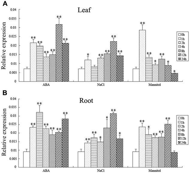 FIGURE 4