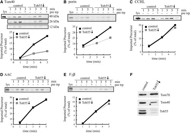 Figure 3.—