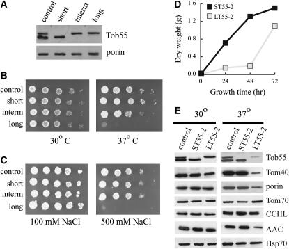 Figure 6.—