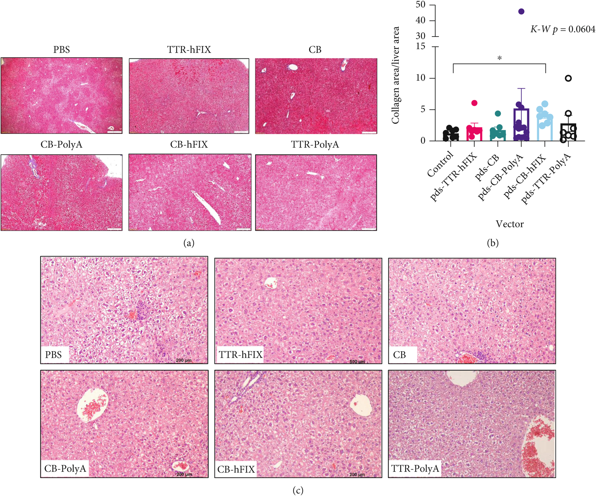 Figure 4: