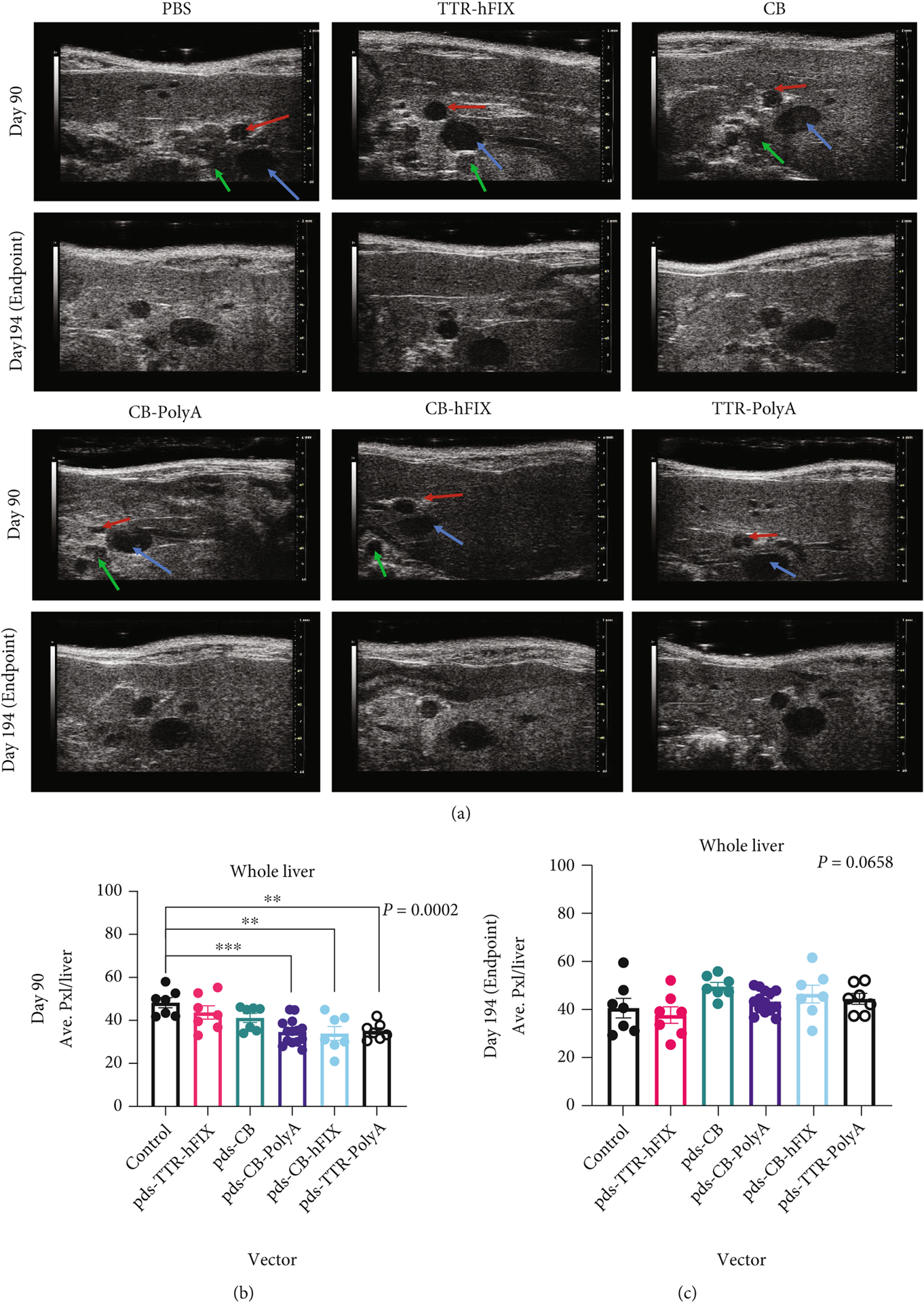 Figure 2: