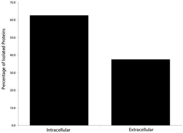 Figure 3A