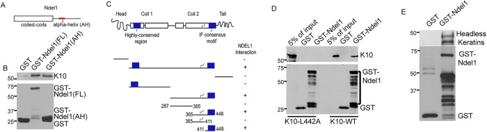 FIGURE 1: