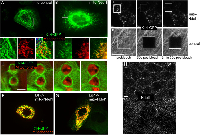 FIGURE 3: