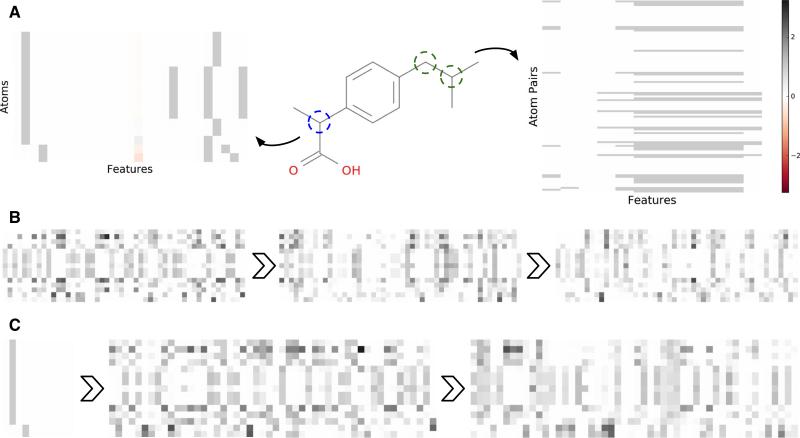 Fig. 8