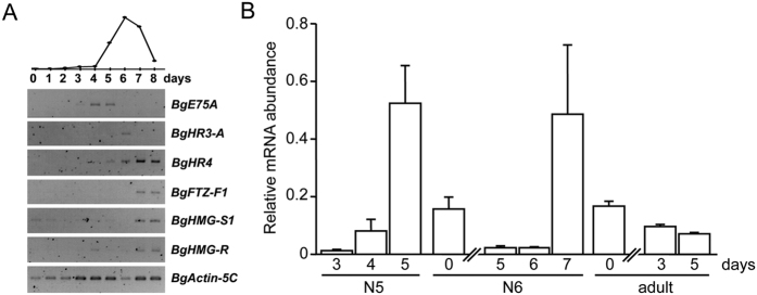 Figure 9