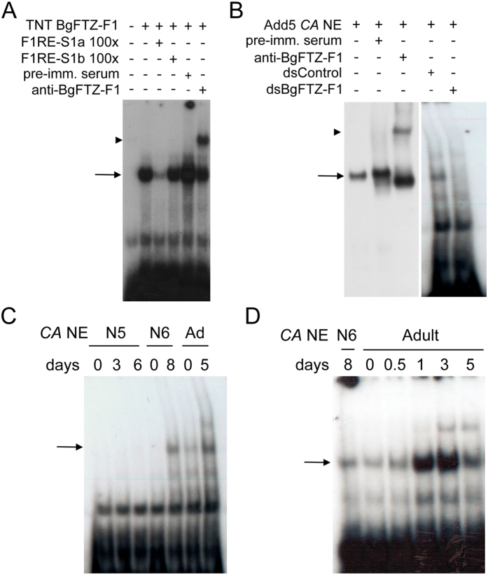 Figure 10