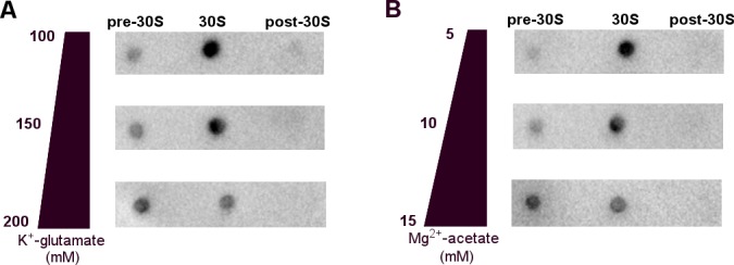 Figure 1—figure supplement 2.