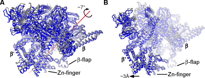 Figure 2—figure supplement 2.