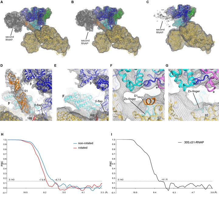 Figure 1—figure supplement 5.