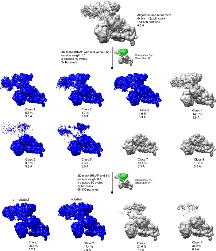 Figure 1—figure supplement 4.