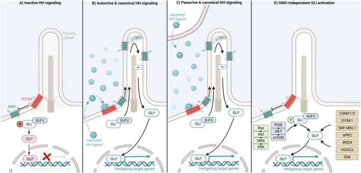 FIGURE 1