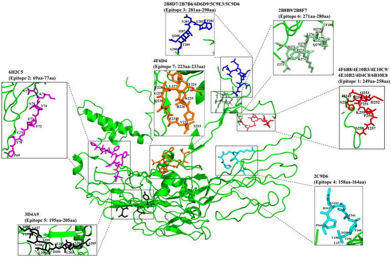 Figure 6