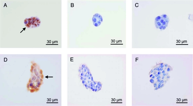 FIG. 5.