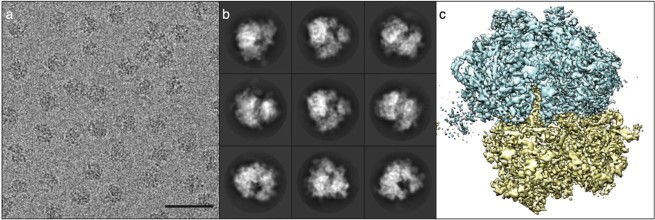 Figure 3 