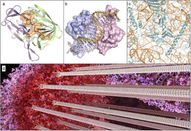 Figure 4 