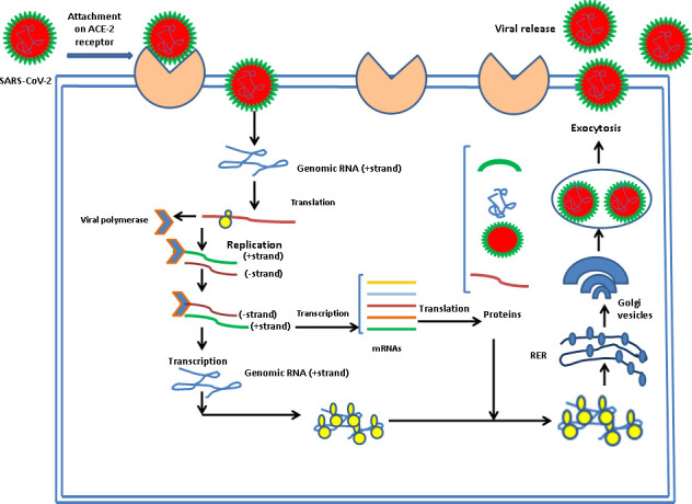 Figure 4