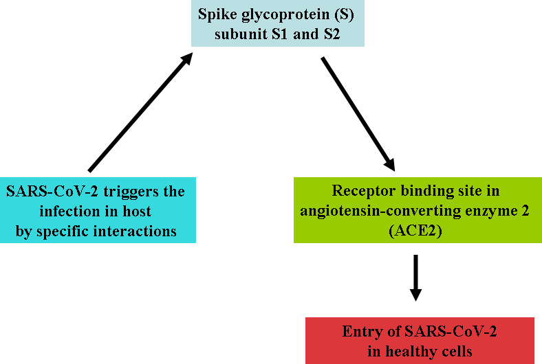 Figure 2