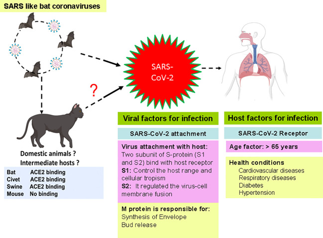 Figure 1