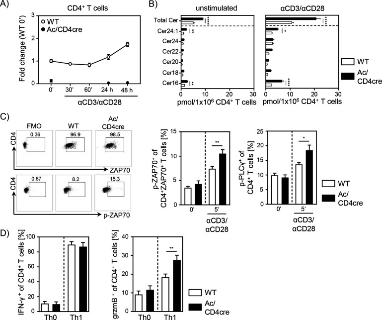 Figure 6—figure supplement 1.