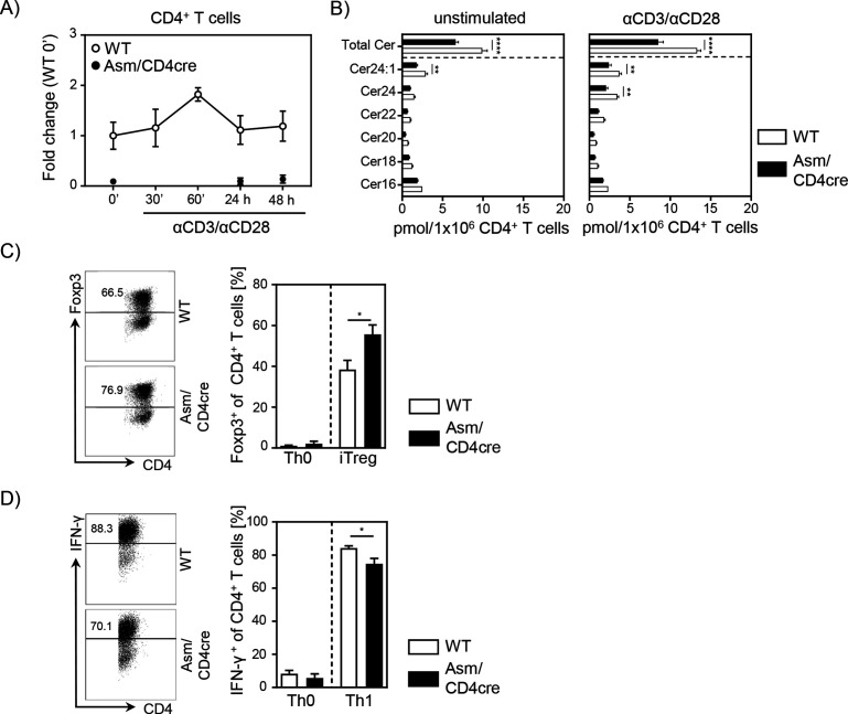 Figure 3—figure supplement 1.