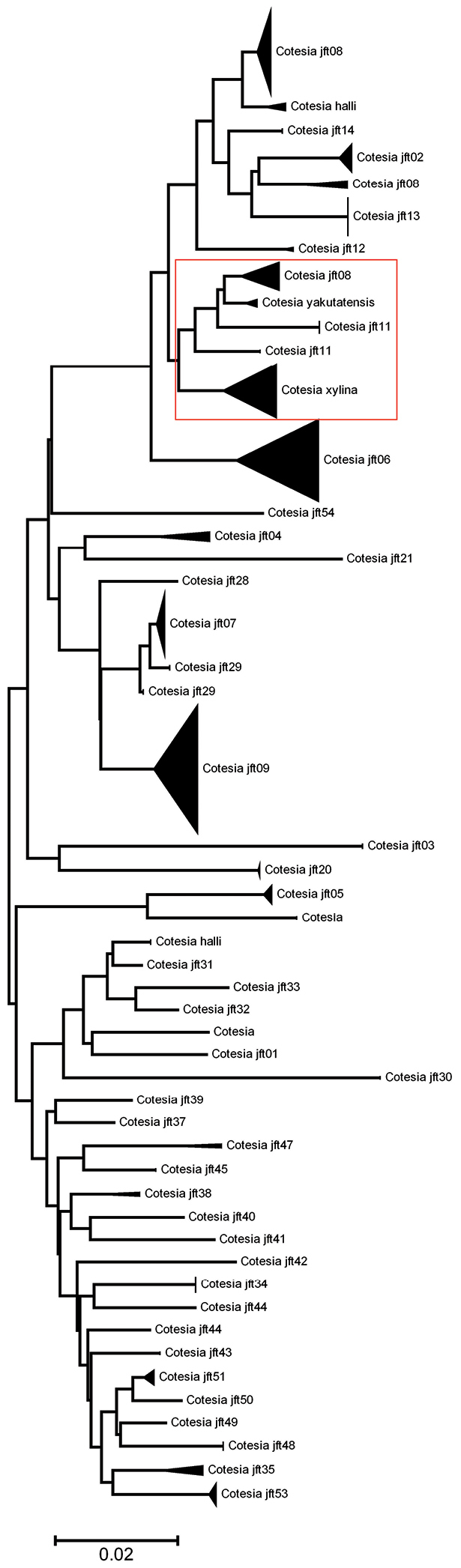 Figure 25.