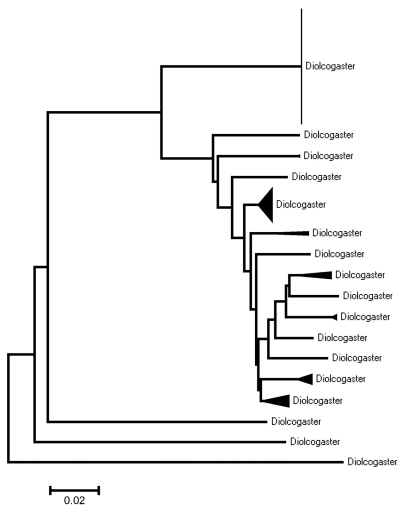 Figure 26.