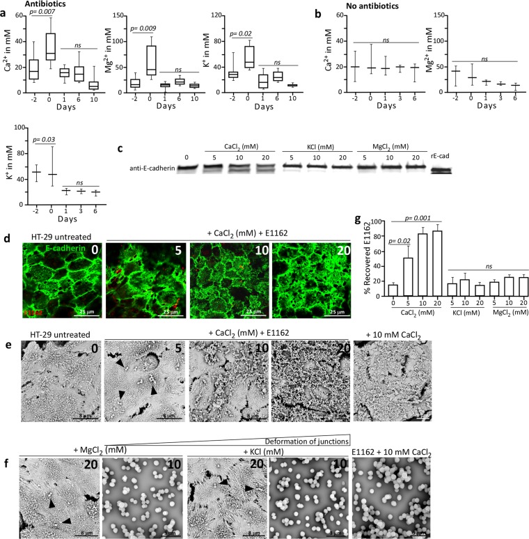 FIG 6 