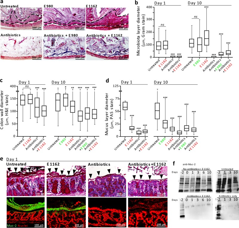 FIG 2 