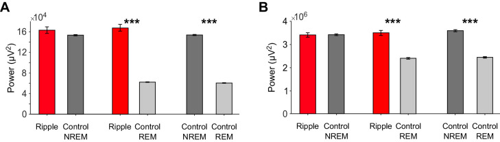 Figure 2—figure supplement 1.