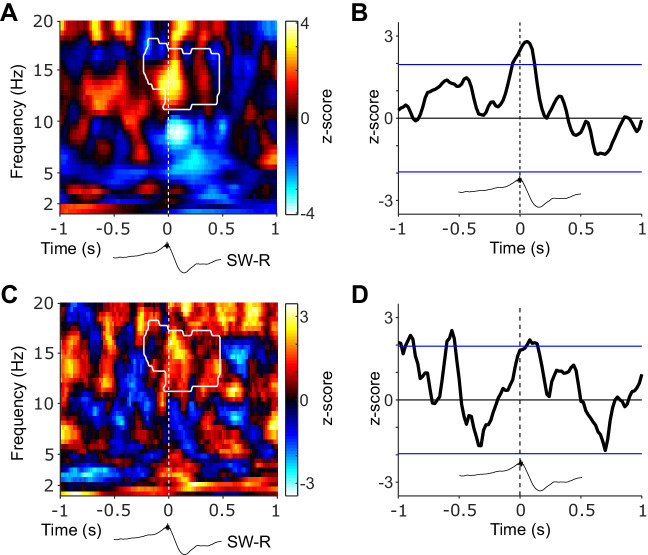 Figure 3—figure supplement 2.