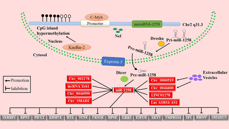 Figure 1