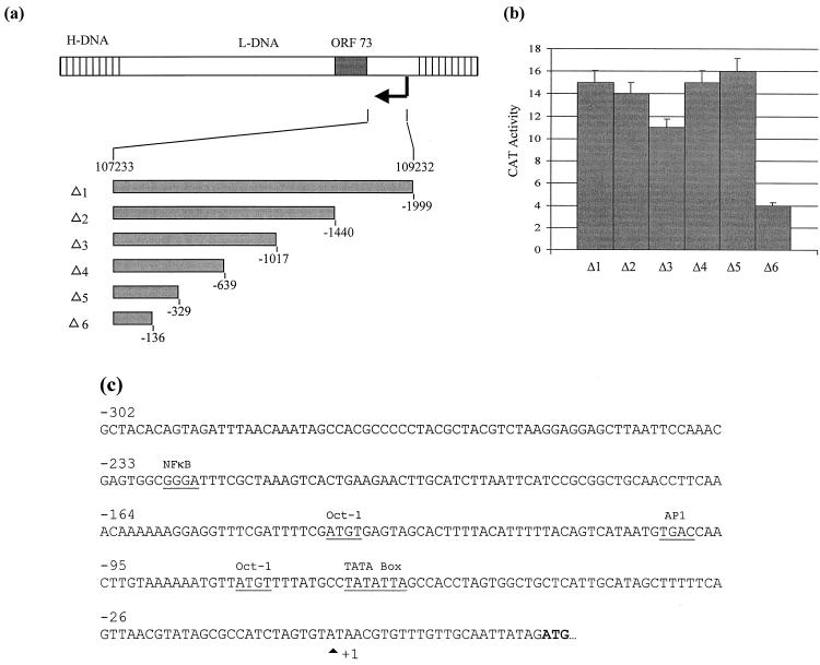 FIG. 6