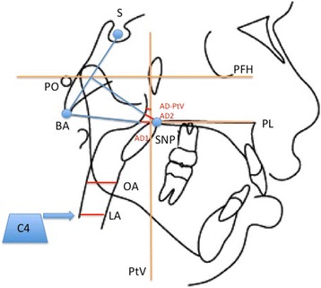 Fig. 2