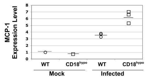 FIG. 7.