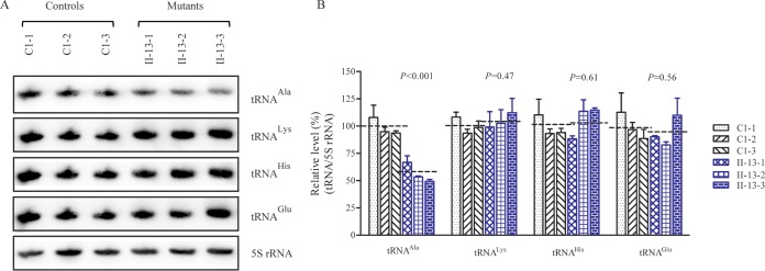 FIG 3