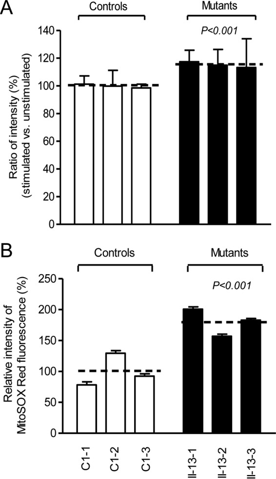 FIG 10