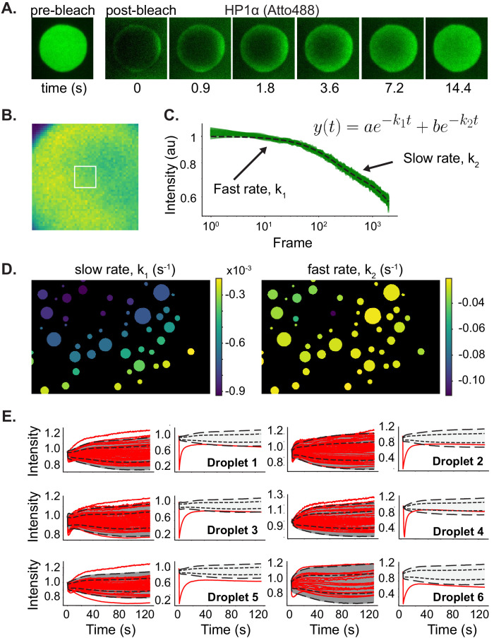 Figure 3—figure supplement 1.