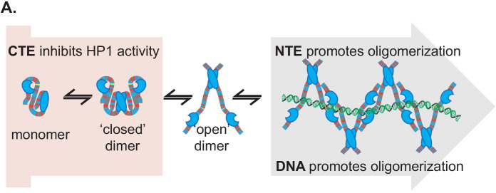 Figure 6—figure supplement 1.